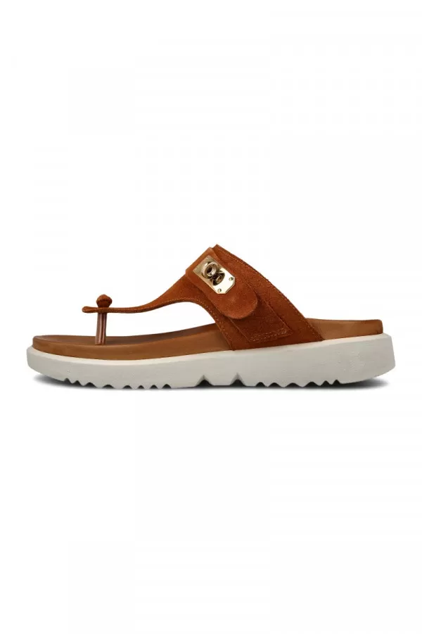 PAPUCE 