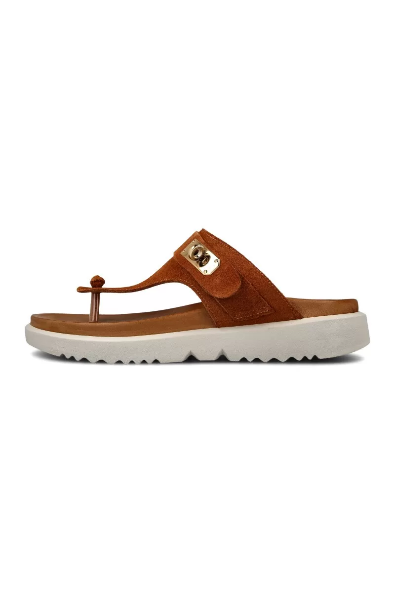 PAPUCE 