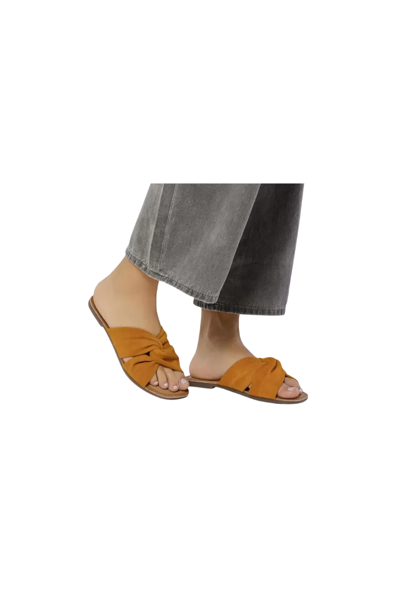 PAPUCE 