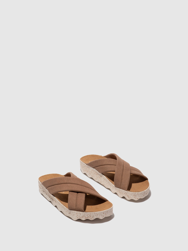 PAPUCE P018280004 | CONCEPT & HYPE